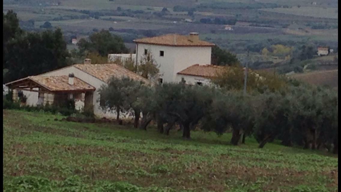 Villa Angiolina, Molise 구글리오네시 외부 사진